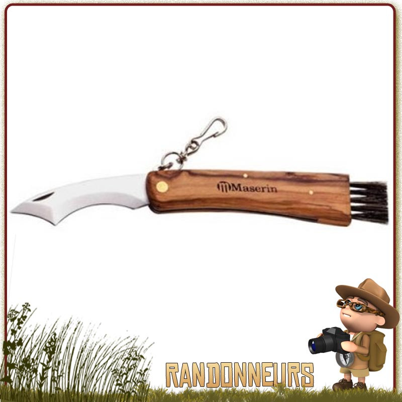 Couteau à champignons 8800 Maserin avec manche bois d'olivier, lame spéciale courbée en inox avec brosse Couteau à champignons 8800 Maserin avec manche bois d'olivier, lame spéciale courbée en inox avec brosse