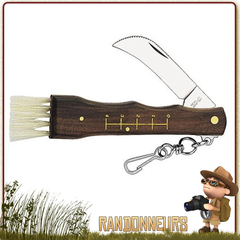 Couteau à champignons avec manche bois Palissandre, lame spéciale courbée en inox, brosse et réglette gravée Couteau à champignons avec manche bois Palissandre, lame spéciale courbée en inox, brosse et réglette gravée